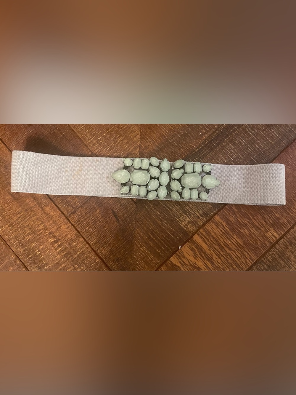 Crystal-Embellished Light Mint and metallic Stretch Belt